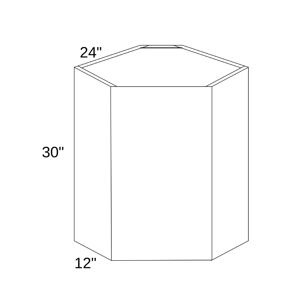 WDC2430 - WALL DIAGONAL CORNER CABINET